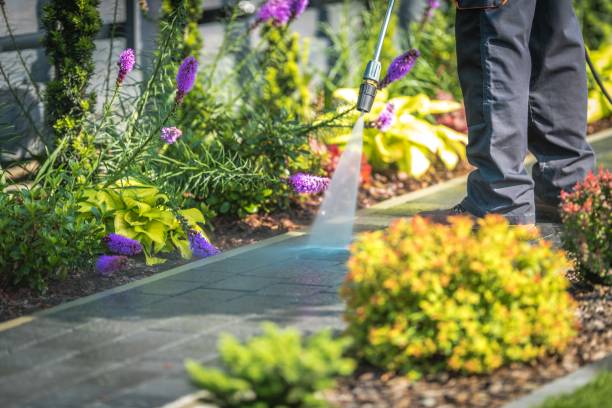 Best Sign and Awning Cleaning  in Grandville, MI