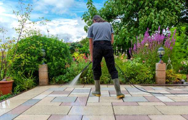 Animal Enclosure Cleaning in Grandville, MI